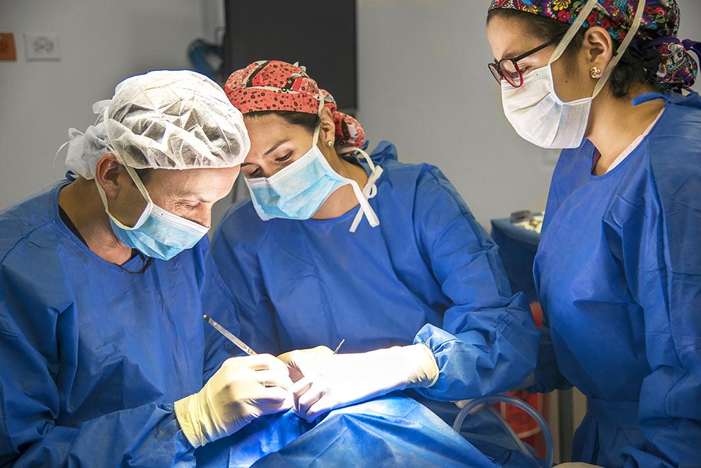 Three doctors wearing surgical hat, gowns and masks, operate on Luciana.