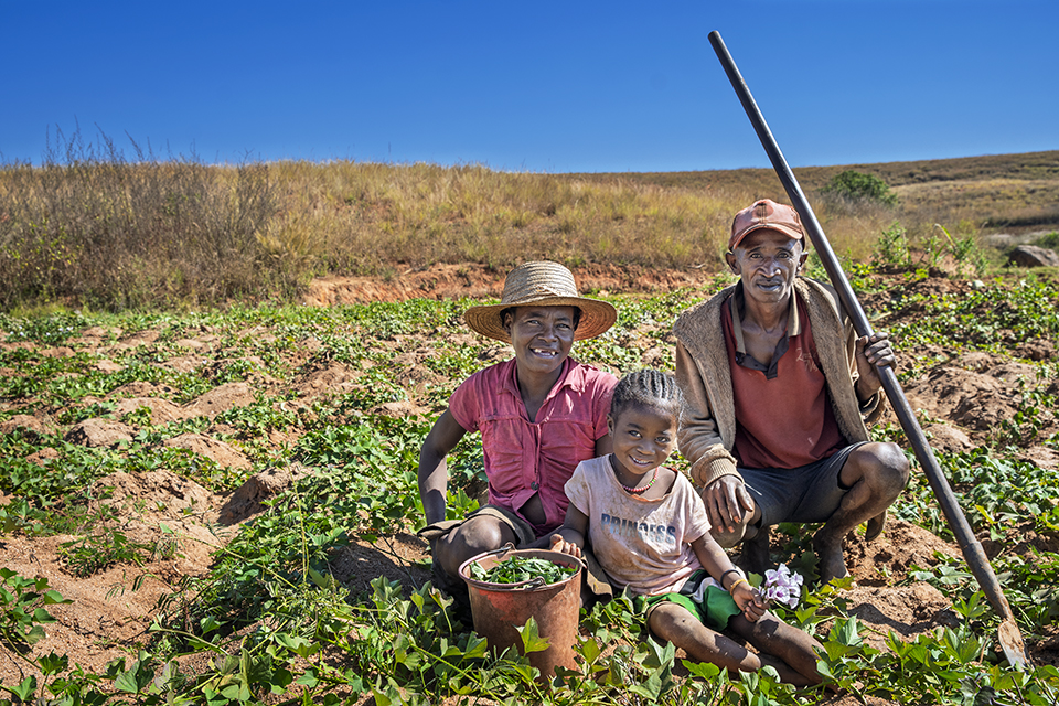 Three people, including a child, sit smiling in a field of green plants under a clear blue sky. An adult holds a long stick, while a bucket of harvested produce sits in front of them.